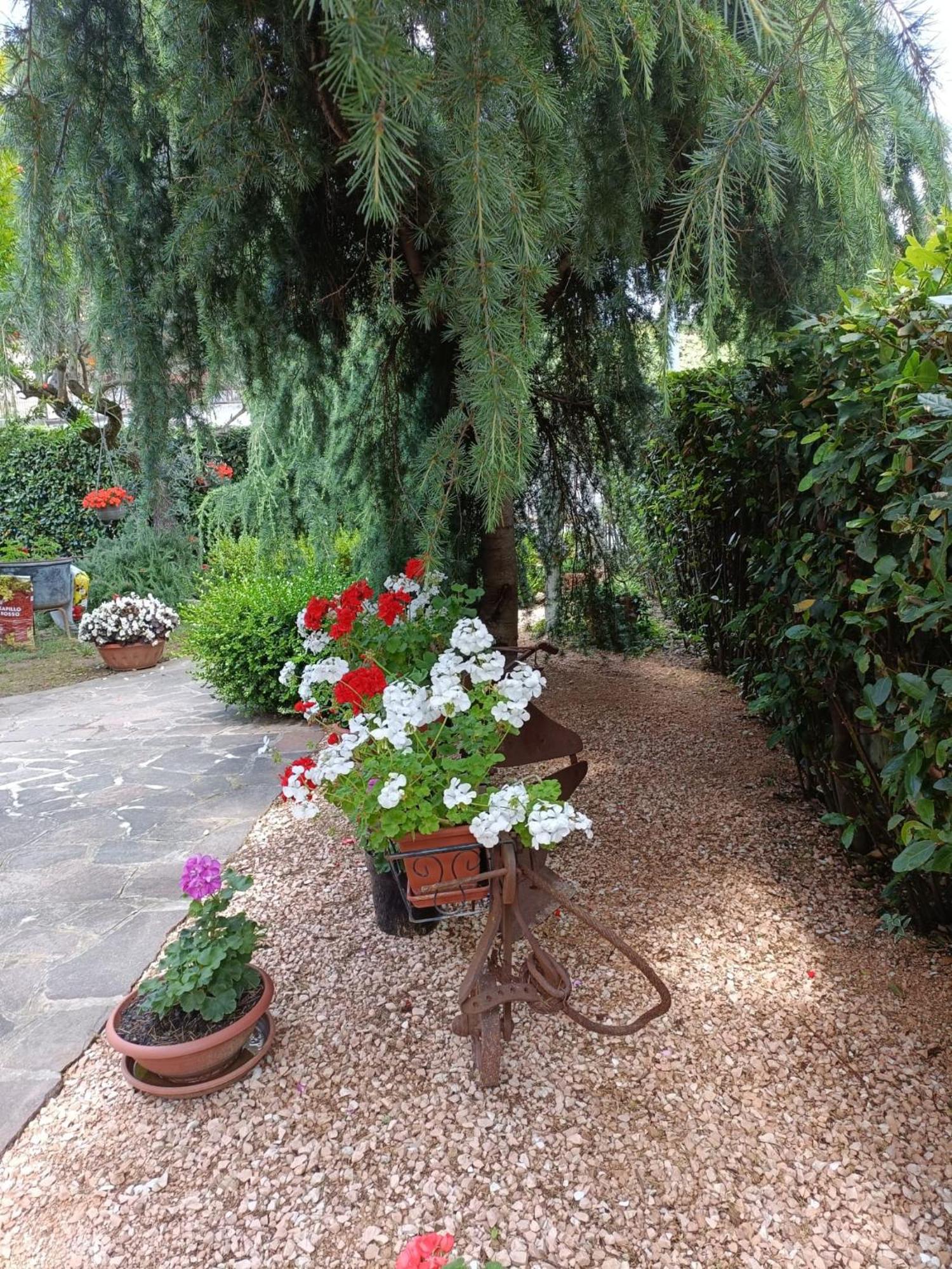 Recanati Family Dış mekan fotoğraf